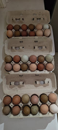 Farm Fresh Pasture-Raised Soy Free Non-GMO Eggs