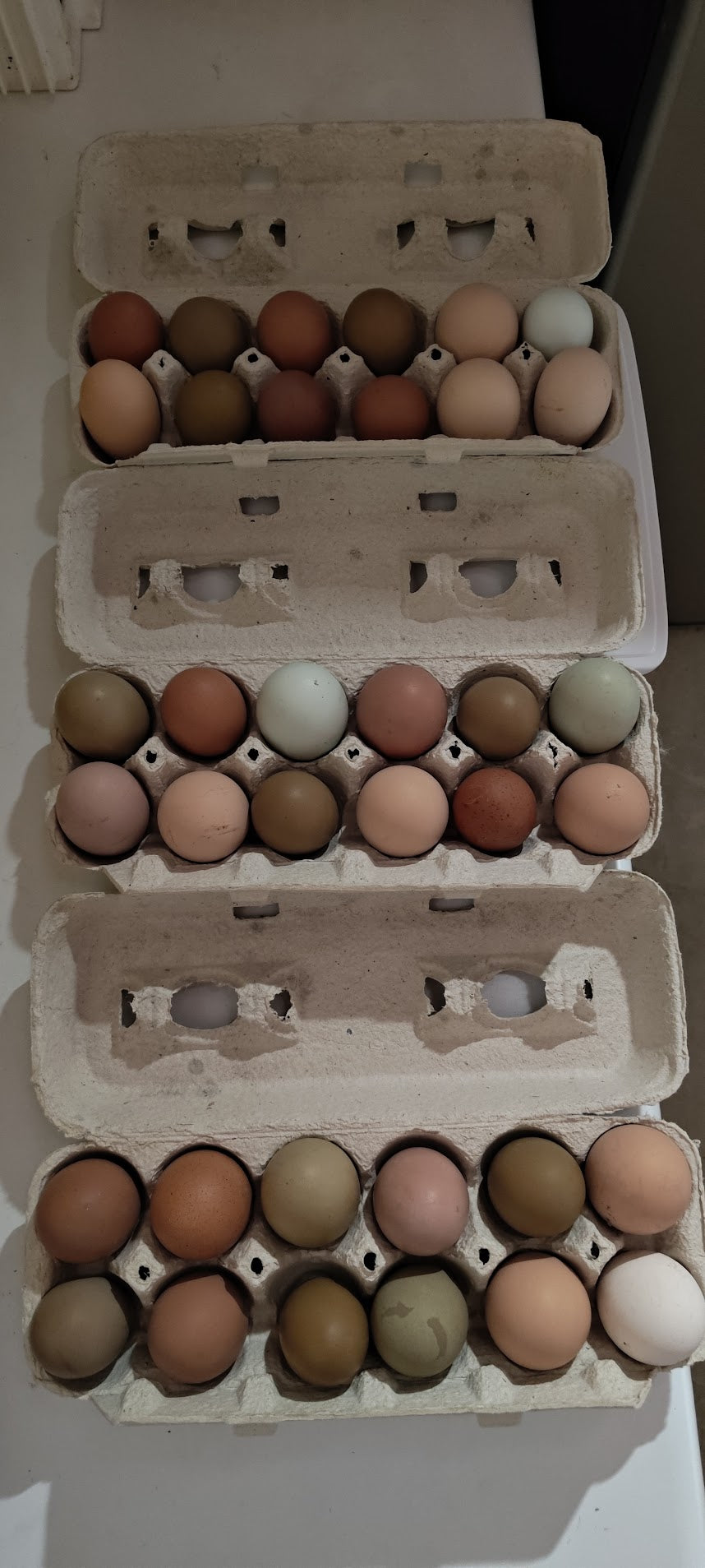 Farm Fresh Pasture-Raised Soy Free Non-GMO Eggs